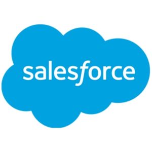 Salesforce-ICON